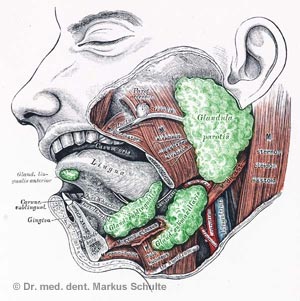 halitosis-7.jpg 