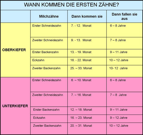 milchzahnkarte.jpg 